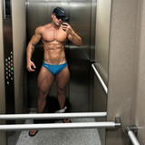 dani 3391