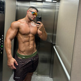 dani 2881