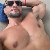 dani 3169