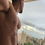 dani 3466