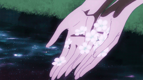 tumblr p4y27k8opi1x6a7yto1 540.gif