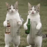 170e5972b450.gif