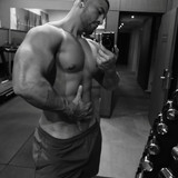 dani 2305