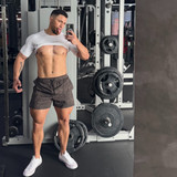 dani 3113