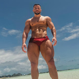 dani 3481