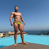 dani 1313