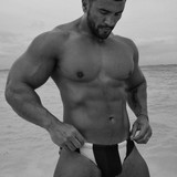 dani 2330