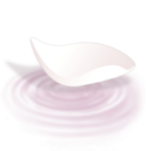 IMG 3150.png
