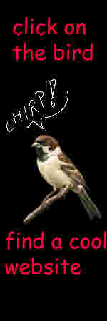chirp.jpg