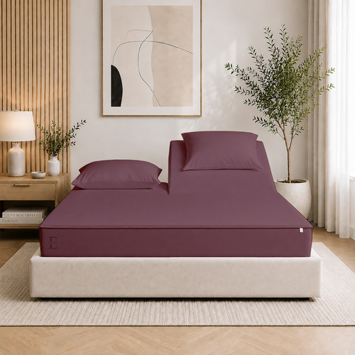 Plum (1).jpg