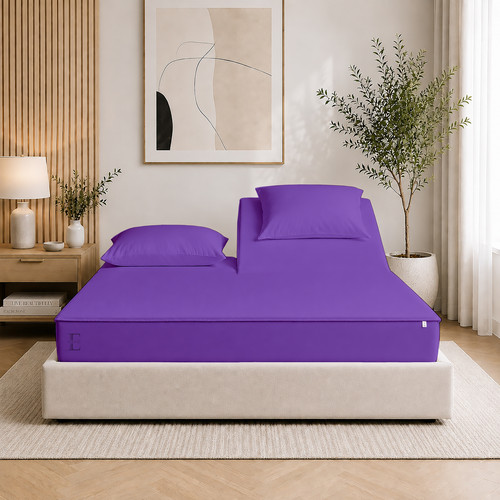 Purple (1).jpg