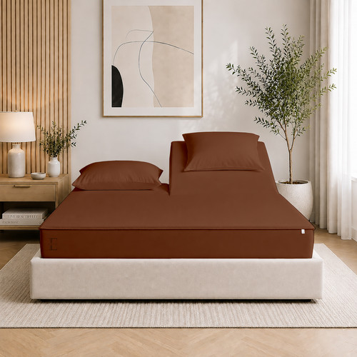 Brown (1).jpg
