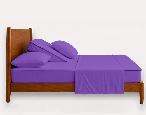 Purple.jpg