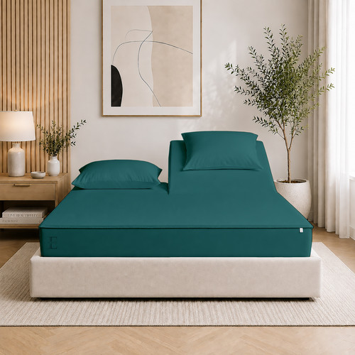 Teal (1).jpg