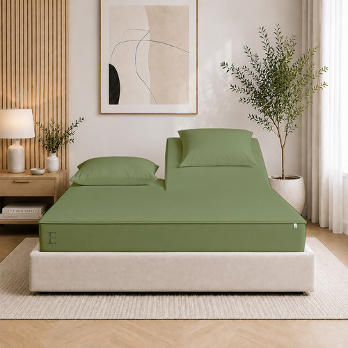 Olive 1.jpg