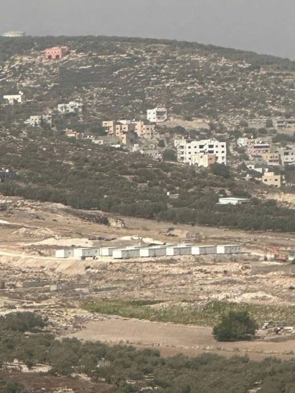 صورة الخبر