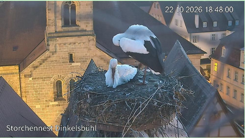 MWSnap343.1
