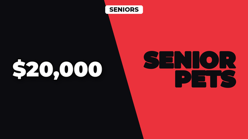 thumb pet insurance for senior pets landscape.2