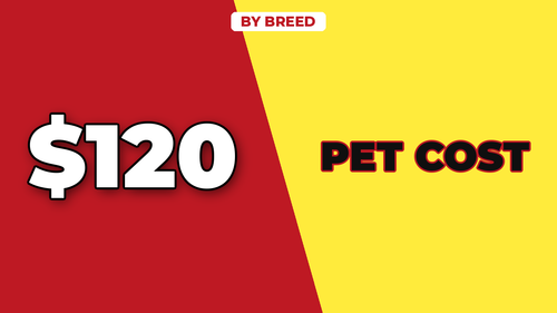 thumb average pet insurance cost by breed landscape.2
