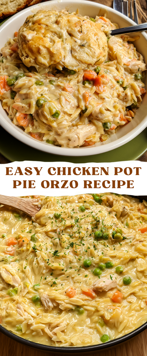 Chicken Pot Pie Orzo (1).2