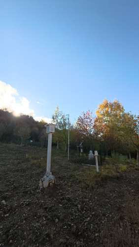 DJI 20261022164539 0065 D.1