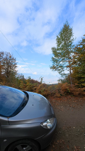 DJI 20261022152643 0056 D.1