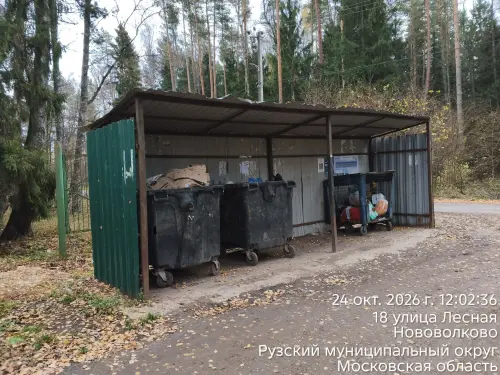 photo.4