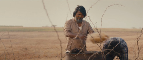 Dorothy 2026 WebRip [Hindi + Tamil + Telugu + Malayalam + Kannada] 1080p 480p 720p ESub Screenshot