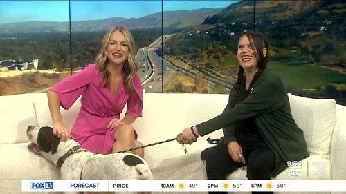 10.16 16.00.00 FOX13 News Good Day Utah 9AM ᴺᵉʷ. News · 2016 — ....ts snapshot 00.56.58.239