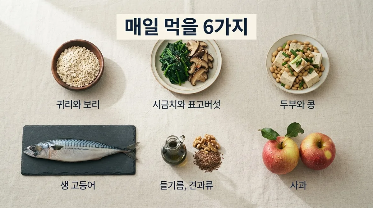 매일 먹어도 부담 없는 고지혈증 음식 6가지와 하루 양