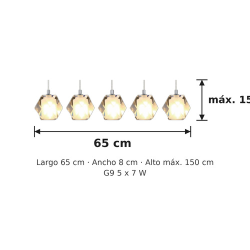 BG5 medidas.1