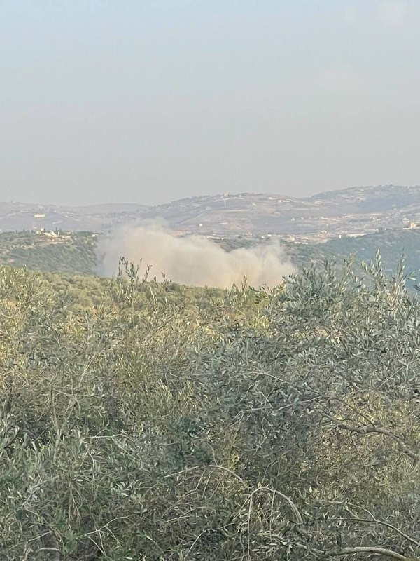 صورة الخبر