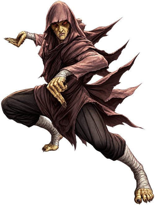 Hooded Specter Martial Artist.2