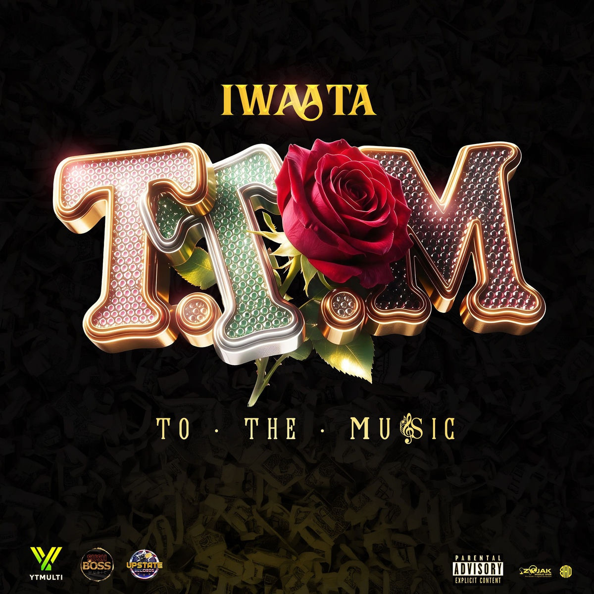 Iwaata - To The Music (TTM)