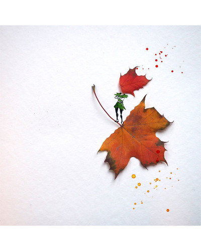 Autumn Leaves 5f8cd4c7dac14 880 bordered.jpg
