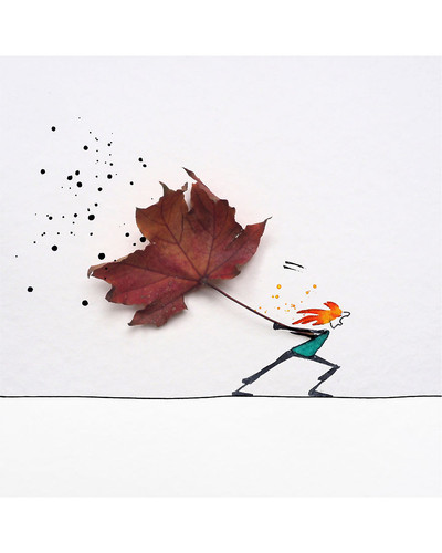 Autumn Leaves 5f8cd18a74884 880 bordered.jpg