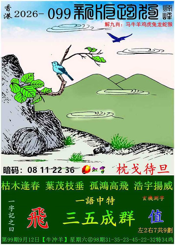 p9.jpg