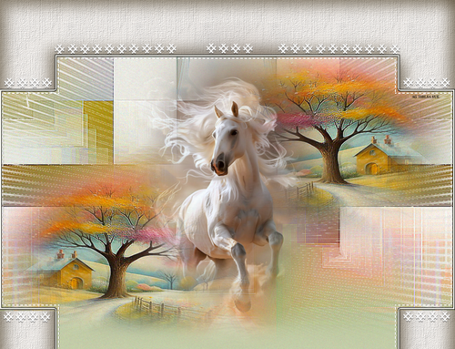 layout horse2 1x1.png