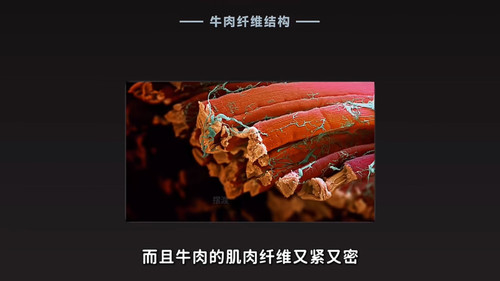 IMG 20260912 004758.jpg
