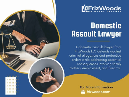 Domestic Assault Lawyer.jpg