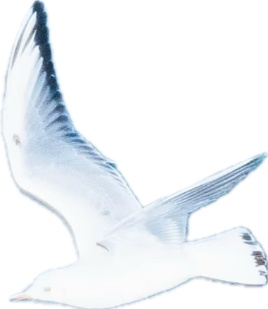 %E4%B8%BB%E9%A2%98%20(36).png