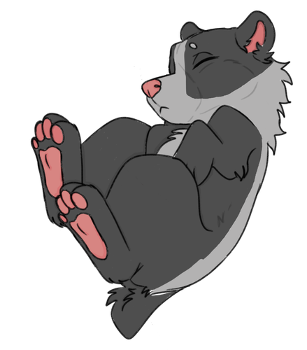 IMG 0039.png