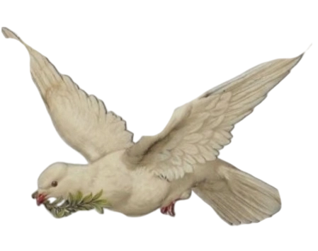 1000033123.png