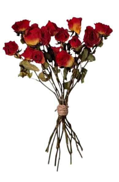 1000033131.png