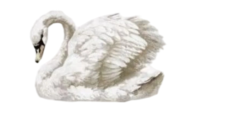 1000033115.png