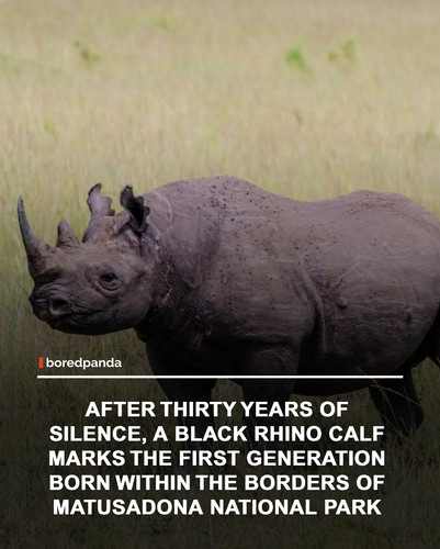 img facts (3).jpg