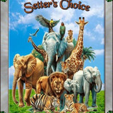 SETTER'S CHOICE