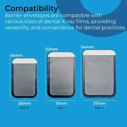 Dental X Ray.jpg
