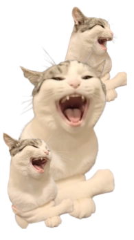 Untitled design.png