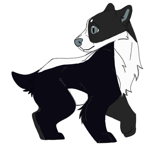 IMG 0042.png